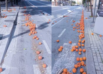 Patinazos y resbalones en las calles de Valencia por naranjas en el suelo