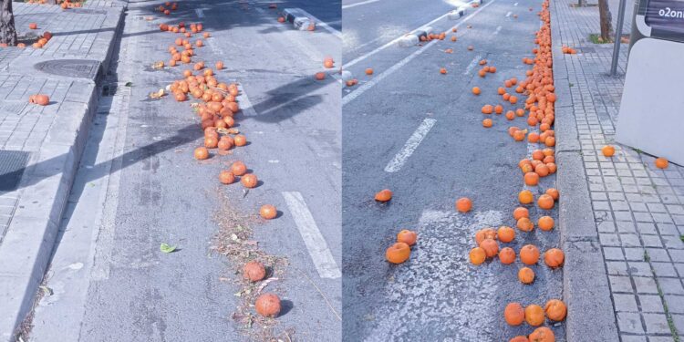 Patinazos y resbalones en las calles de Valencia por naranjas en el suelo 1 Patinazos y resbalones en las calles de Valencia por naranjas en el suelo