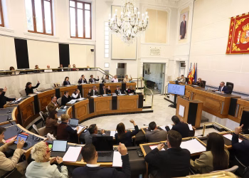 El Pleno de la Diputación exige la retirada del nuevo registro de viajeros por sus efectos negativos sobre el turismo 10 El Pleno de la Diputación exige la retirada del nuevo registro de viajeros por sus efectos negativos sobre el turismo