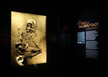 El MARQ reconocido internacionalmente por la exposición ‘Dinastías’ 8 El MARQ reconocido internacionalmente por la exposición ‘Dinastías’