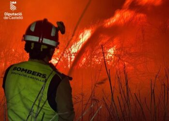 Extinguido el incendio en Nules que obligó a desalojar un camping con 40 personas
