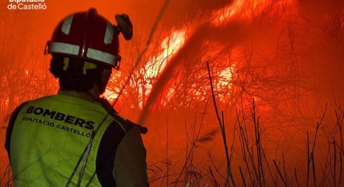 Extinguido el incendio en Nules que obligó a desalojar un camping con 40 personas 1 Extinguido el incendio en Nules que obligó a desalojar un camping con 40 personas