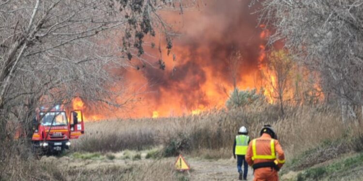 Incendio Forestal en la Marjal dels Moros entre Puzol y Sagunt y en Algueña (Alicante) 1 Incendio Forestal en la Marjal dels Moros entre Puzol y Sagunt y en Algueña (Alicante)