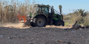 Las playas de Sueca sí son limpiadas por TRAGSA tras la #DANA pero el Ayuntamiento reconoce que la limpieza es muy mejorable