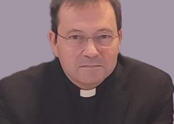 El sacerdote Vicente Ferrer Andreu será mantenedor en la exaltación de la Clavariesa 2025 de la Junta Central Vicentina, María José Llorens 8 El sacerdote Vicente Ferrer Andreu será mantenedor en la exaltación de la Clavariesa 2025 de la Junta Central Vicentina, María José Llorens