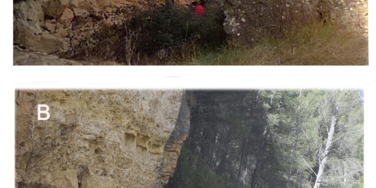 Cultura inspecciona los conjuntos de arte rupestre susceptibles de haber sufrido daños por los efectos de la riada