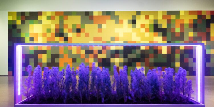 El Centre del Carme presenta una exposición de Hugo Martínez-Tormo que promueve la reforestación del bosque valenciano 1 El Centre del Carme presenta una exposición de Hugo Martínez-Tormo interactiva y participativa que promueve la reforestación del bosque valenciano
