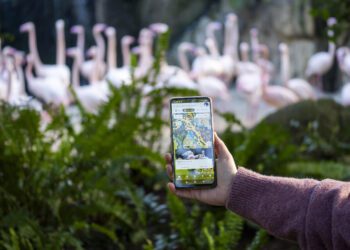 BIOPARC Valéncia lanza una App para una experiencia más inmersiva y sostenible 3 BIOPARC Valéncia lanza una App para una experiencia más inmersiva y sostenible