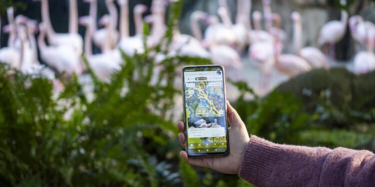 BIOPARC Valéncia lanza una App para una experiencia más inmersiva y sostenible