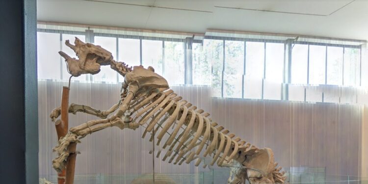 El Museo de Ciencias Naturales permanecerá cerrado 3 meses