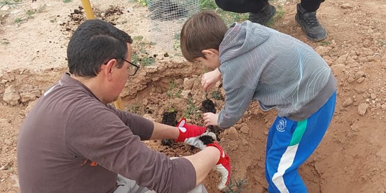 ¿Qué queremos, vertedero o barranco del Carraixet vivo?. Día del árbol 2025, taller de plantación Popular en Bétera