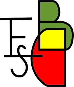 LOGO IES BERENGUER CATARROJA