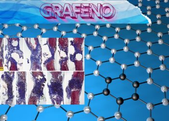 Logran reconectar con grafeno, una médula espinal totalmente seccionada