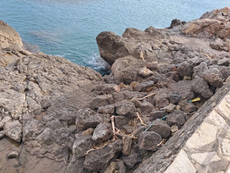 Las cañas en las playas de Cullera casi 100 días después de la #DANA. Las playas están llenas de trocitos de cañas y troncos