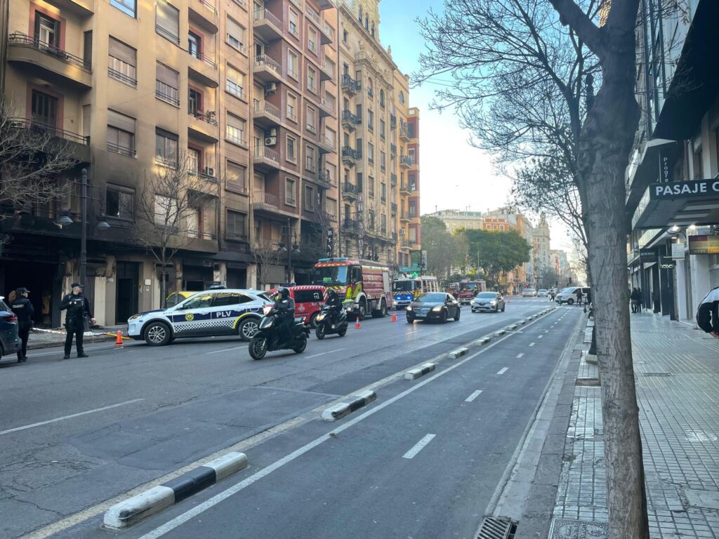 WhatsApp Image 2025 02 08 at 17.31.55