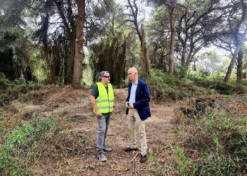 Devesa-Albufera renueva el permiso para el control de jabalís en el Parque Natural de l'Albufera 2 Devesa-Albufera renueva el permiso para el control de jabalís en el Parque Natural de l'Albufera