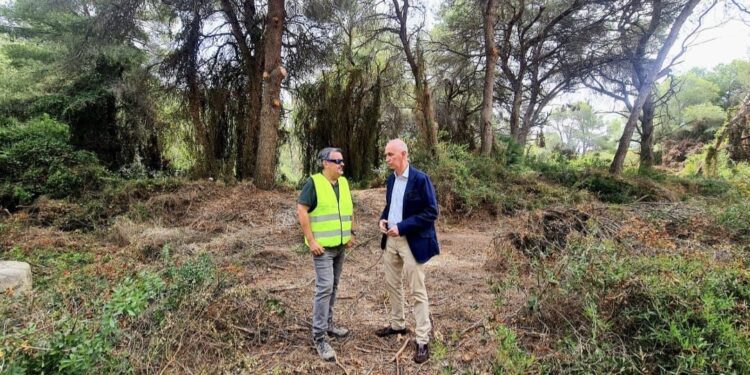Devesa-Albufera renueva el permiso para el control de jabalís en el Parque Natural de l'Albufera 1 Devesa-Albufera renueva el permiso para el control de jabalís en el Parque Natural de l'Albufera