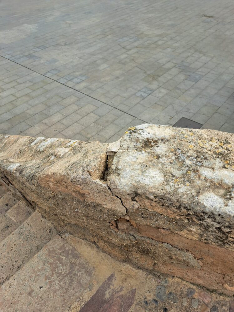 Més Avant denuncia el lamentable estado de Los Silos de Burjassot