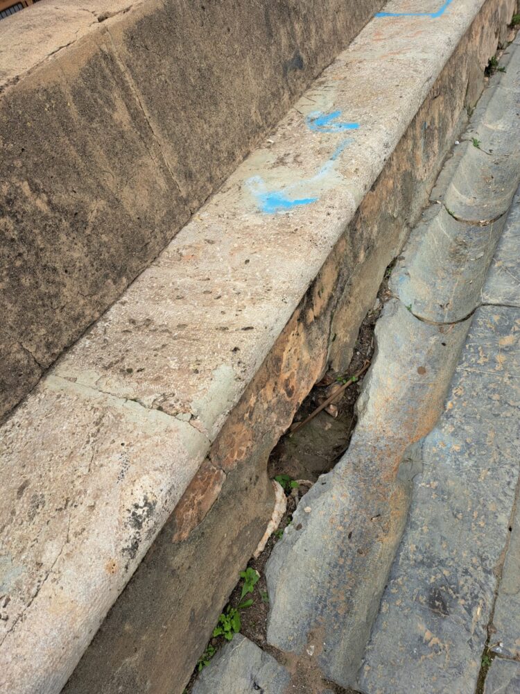 Més Avant denuncia el lamentable estado de Los Silos de Burjassot