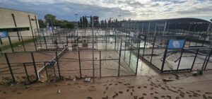 Hortensia Roig relata como vivió el día de Dana con la mirada en la piscina de Suma Alfafar 4 alfafar 4