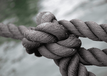 Veritat Ensenyadora sobre la llengua