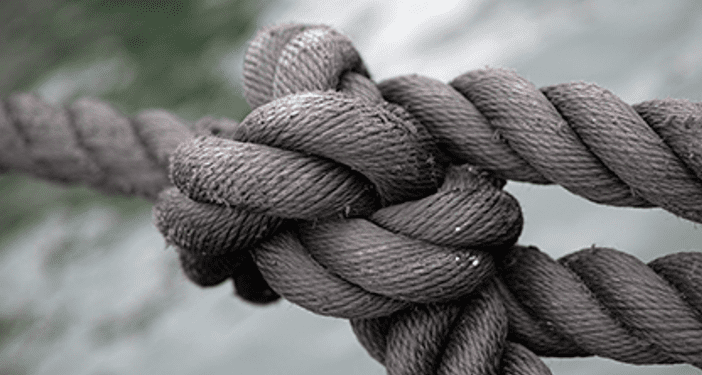 Veritat Ensenyadora sobre la llengua 1 Veritat Ensenyadora sobre la llengua