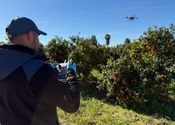 DRONSafe despega en la agricultura valenciana drones para mejorar el control de plagas