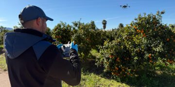 DRONSafe despega en la agricultura valenciana drones para mejorar el control de plagas