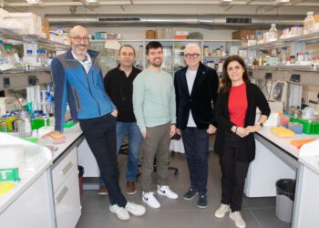 La UV participa en el desarrollo de una nueva escala para comprender el comportamiento de las proteínas en membranas