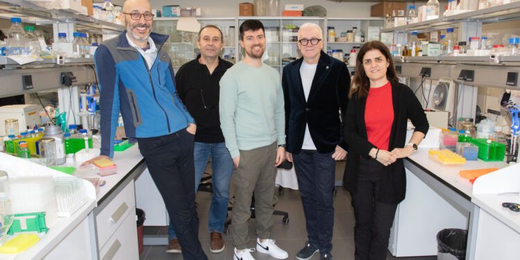 La UV participa en el desarrollo de una nueva escala para comprender el comportamiento de las proteínas en membranas