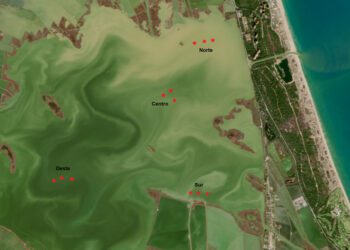 La DANA provocó en un día el volumen de sedimentación habitual de 30 años en la Albufera