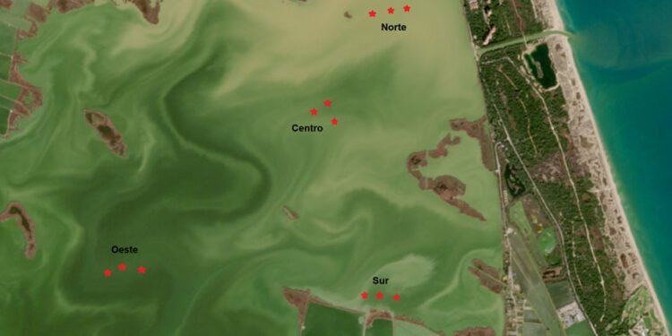 La DANA provocó en un día el volumen de sedimentación habitual de 30 años en la Albufera