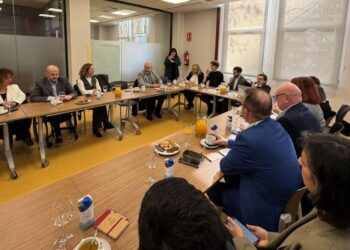 COCEMFE propone mejoras en las leyes de dependencia y discapacidad