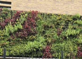 Valencia refuerza el binomio Ciutat-Universitat con un nuevo jardín vertical