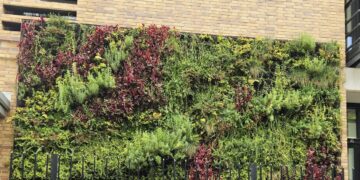 Valencia refuerza el binomio Ciutat-Universitat con un nuevo jardín vertical