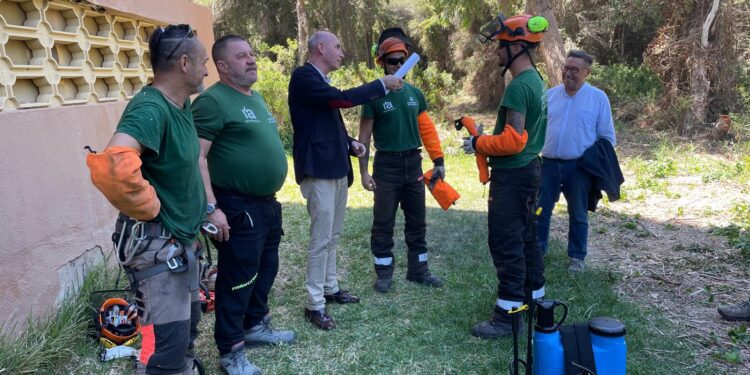 Devesa-Albufera toma la delantera en la protección del monte con un nuevo servicio de limpieza
