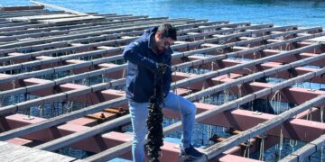 La Clóchina de Valencia arranca la temporada 2025 donde esperan unas mil toneladas