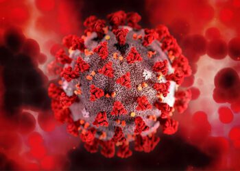 Desarrollan un antiviral de amplio espectro basado en una sustancia del caparazón de los crustáceos 1 Desarrollan un antiviral de amplio espectro basado en una sustancia del caparazón de los crustáceos