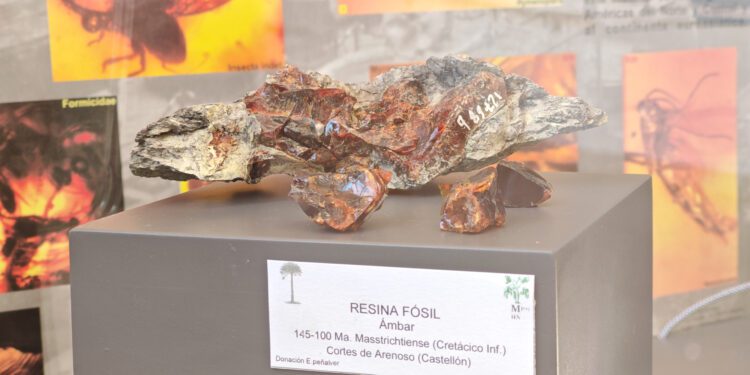 Más de una decena de exposiciones y el cómico Pepiu de Castellar, entre las propuestas de 'Cultura als Campus' de la UV para marzo