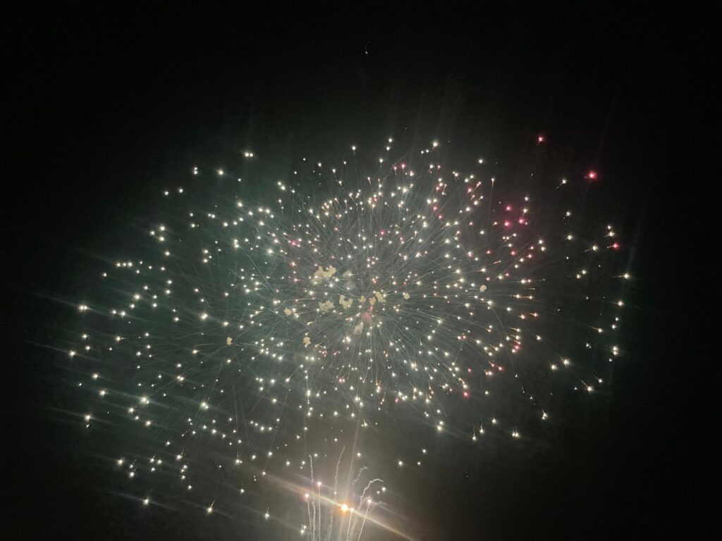 Turís y el ritual del fuego dicen adios hoy a sus Fallas 2025 3 Nit del Foc turis