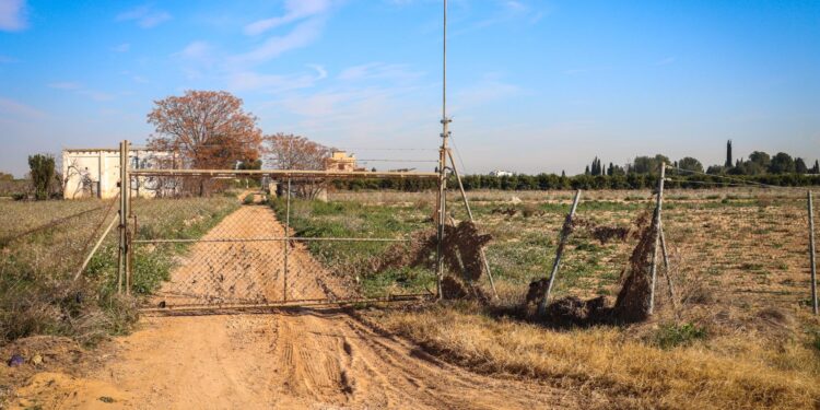 El refugio animal proyectado en Torrent por Gloria Tello (Compromís Vlc) y Jesús Ros (PSPV Torrent) arrasado por la DANA
