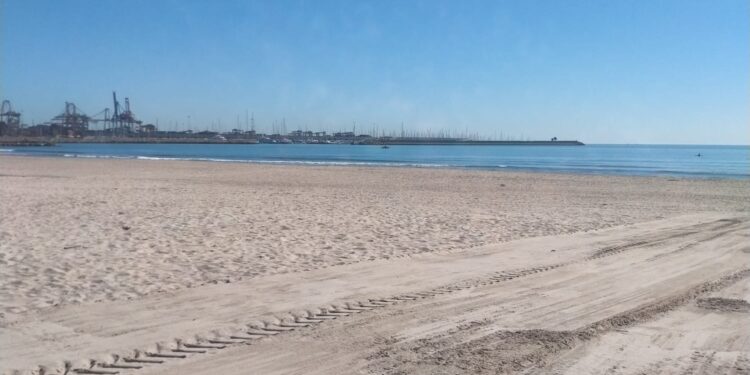 Reabren las playas del sur del Cap i Casal tras la limpieza de los restos de la #DANA 1 Reabren las playas del sur del Cap i Casal tras la limpieza de los restos de la #DANA