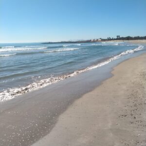 Reabren las playas del sur del Cap i Casal tras la limpieza de los restos de la #DANA 2 WhatsApp Image 2025 03 31 at 13.26.17