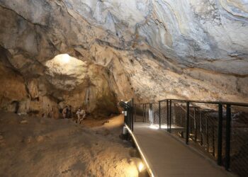 El yacimiento de la Cova de l’Or de Beniarrés retoma este fin de semana su programa de visitas guiadas 5 El yacimiento de la Cova de l’Or de Beniarrés retoma este fin de semana su programa de visitas guiadas