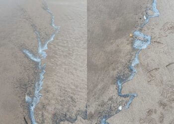 Aparece una sustancia en las Playas de Saler y Perellonet y los técnicos establecen que no hay riesgo medioambiental ni sanitario