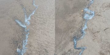 Aparece una sustancia en las Playas de Saler y Perellonet y los técnicos establecen que no hay riesgo medioambiental ni sanitario