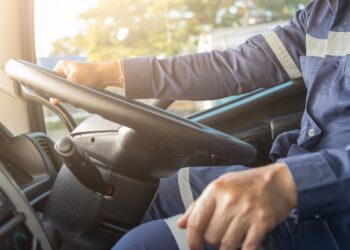 La DGT activa la consulta online de la vigencia de los permisos de conducir profesionales