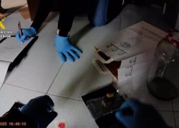 Desarticulan en Valencia una red de distribución de marihuana y hachís a través de Grow Shops