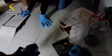 Desarticulan en Valencia una red de distribución de marihuana y hachís a través de Grow Shops