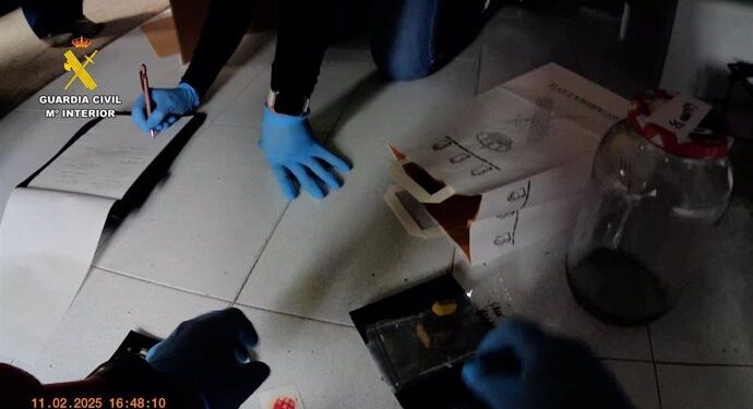 Desarticulan en Valencia una red de distribución de marihuana y hachís a través de Grow Shops 1 Desarticulan en Valencia una red de distribución de marihuana y hachís a través de Grow Shops